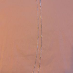 Kendra Scott bright silver necklace (only).